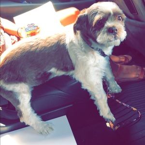 Meet your Posher, Alexis